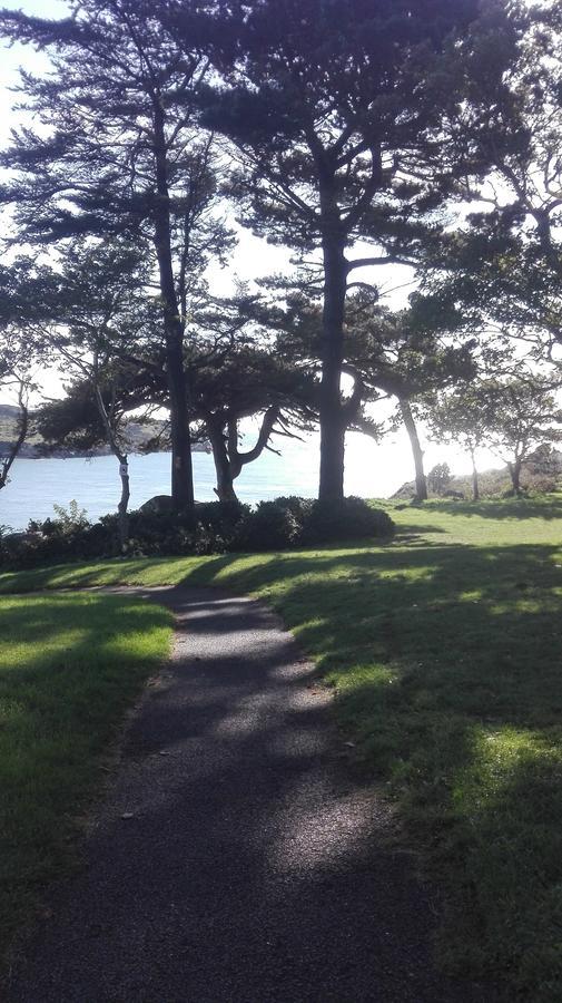 The Dell Dublin Bed and Breakfast Dun Laoghaire Exterior foto
